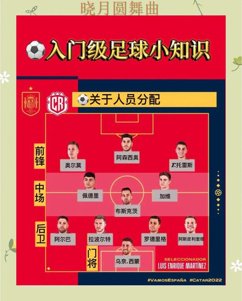 世界杯
